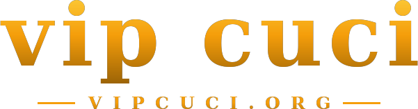 vip cuci logo